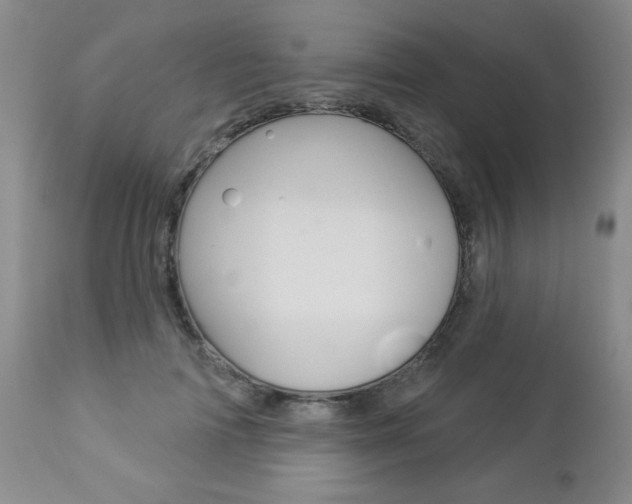 X0000112860698200908211055