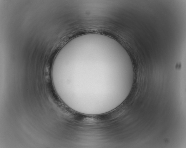 X0000112860699200908211055