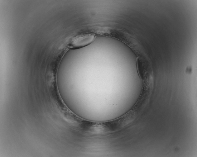 X0000112860704200908211055