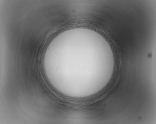 X0000112860705200908211055