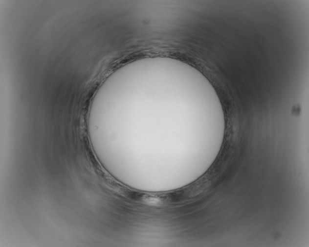 X0000112860706200908211055