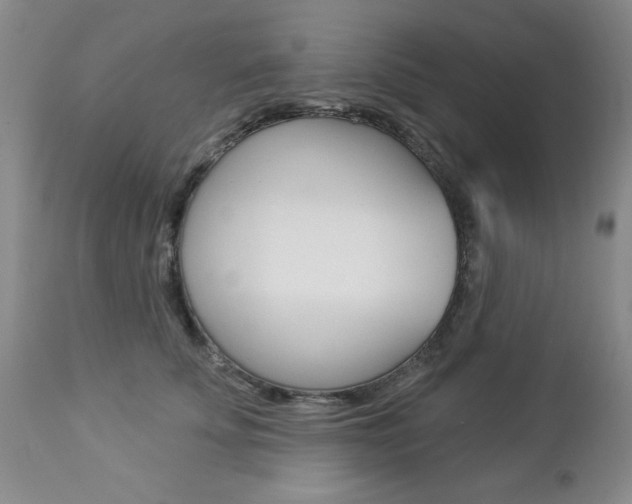 X0000112860707200908211055