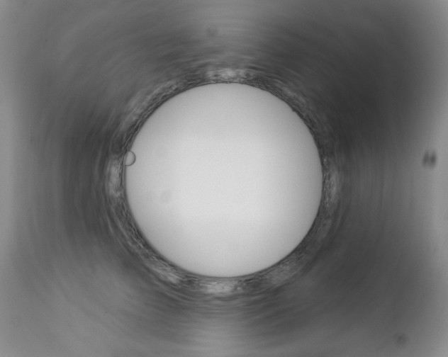 X0000112860709200908211055
