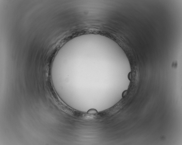 X0000112860710200908211055