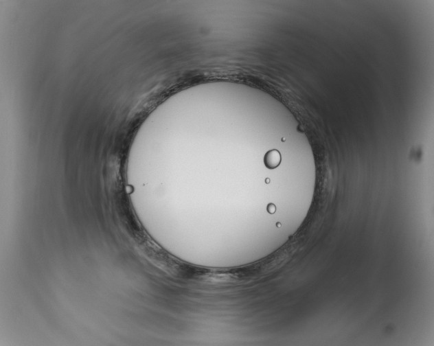 X0000112860711200908211055