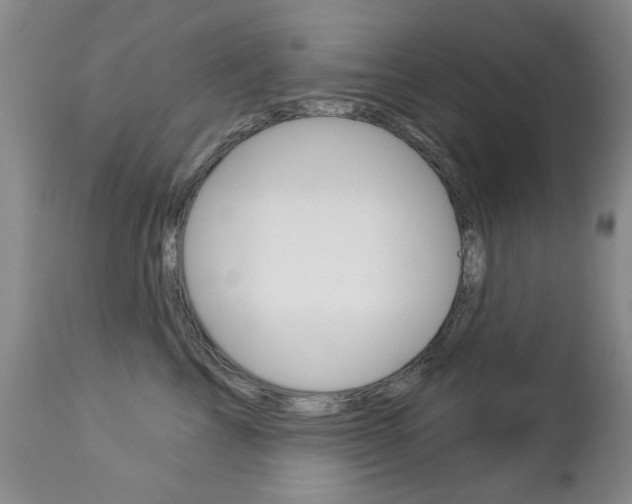 X0000112860713200908211055