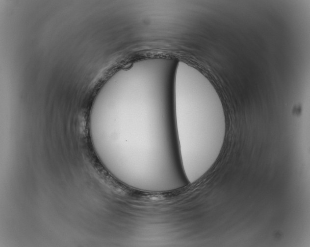 X0000112860715200908211055