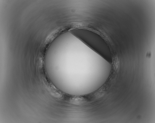 X0000112860716200908211055