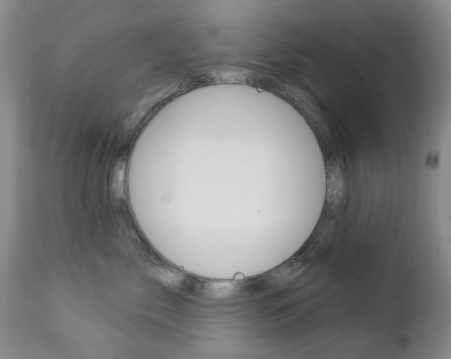 X0000112860717200908211055