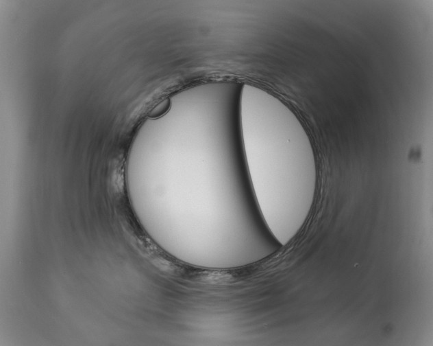 X0000112860719200908211055