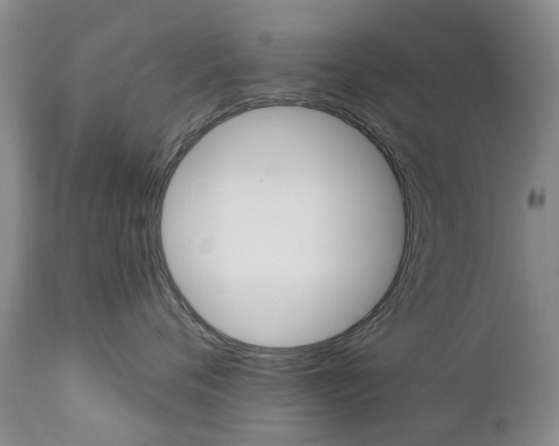 X0000112860720200908211055