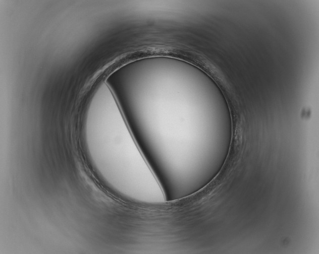 X0000112860722200908211054
