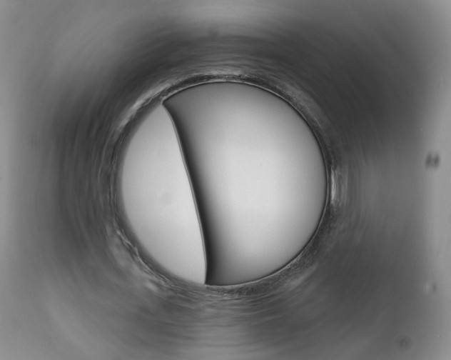 X0000112860723200908211054