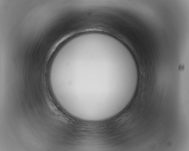 X0000112860724200908211054