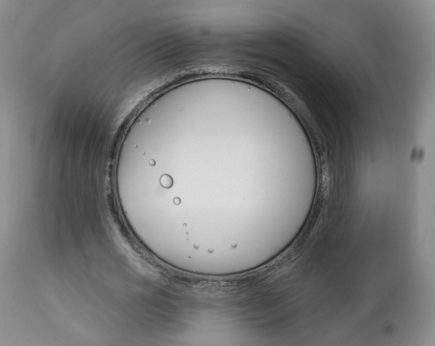 X0000112860725200908211054