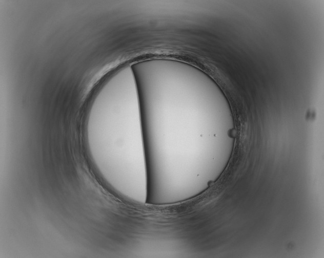 X0000112860727200908211054