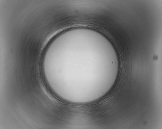 X0000112860728200908211054