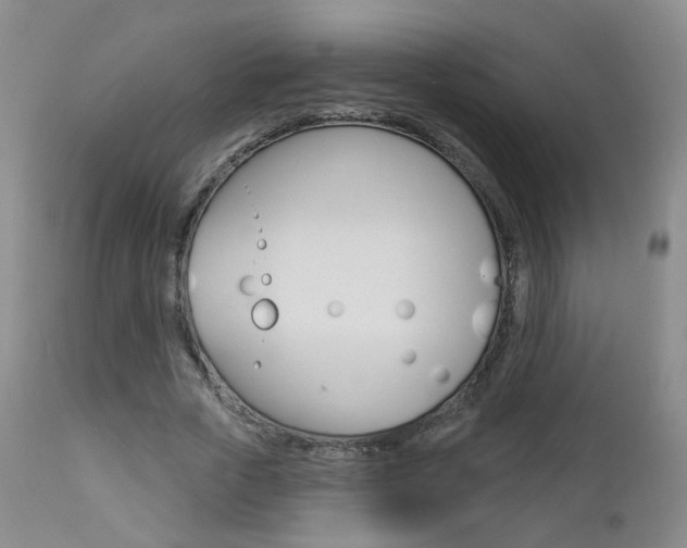 X0000112860729200908211054