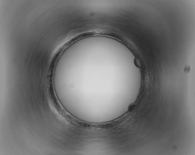 X0000112860730200908211054