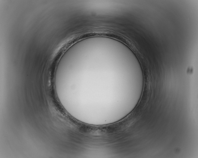 X0000112860731200908211054