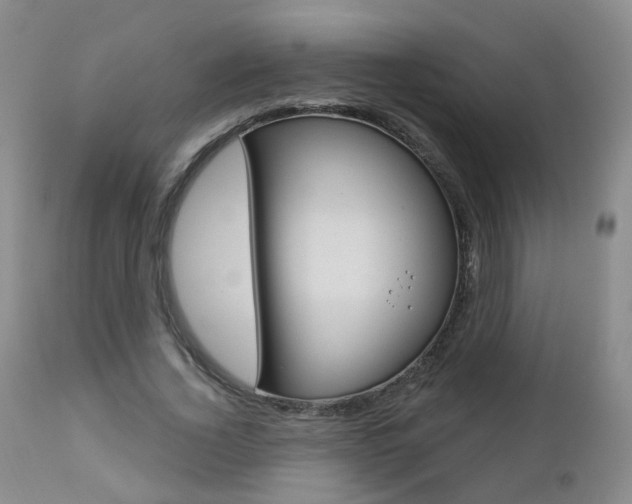 X0000112860732200908211054