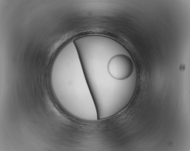 X0000112860734200908211054