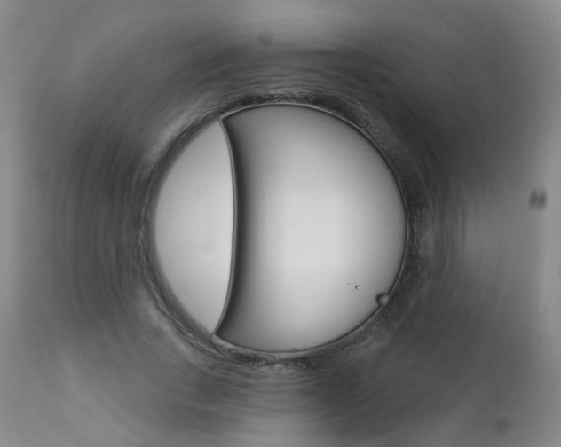 X0000112860735200908211054