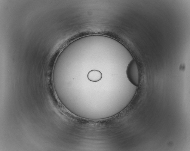 X0000112860736200908211054