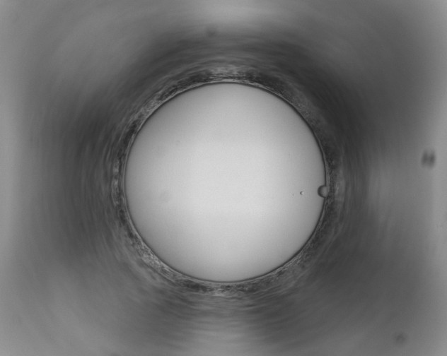 X0000112860737200908211054