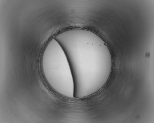 X0000112860738200908211054