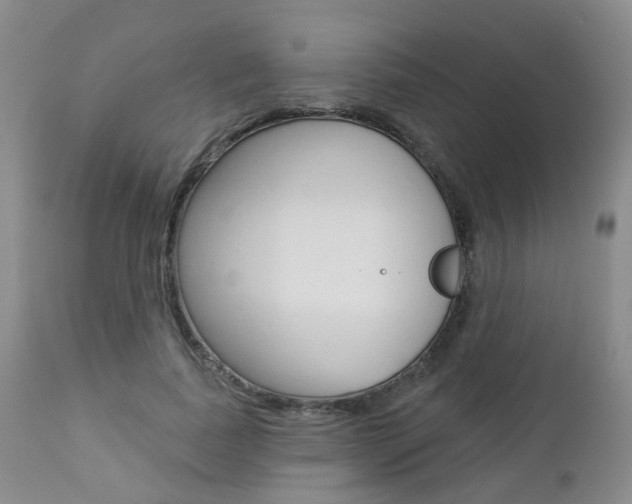 X0000112860739200908211054