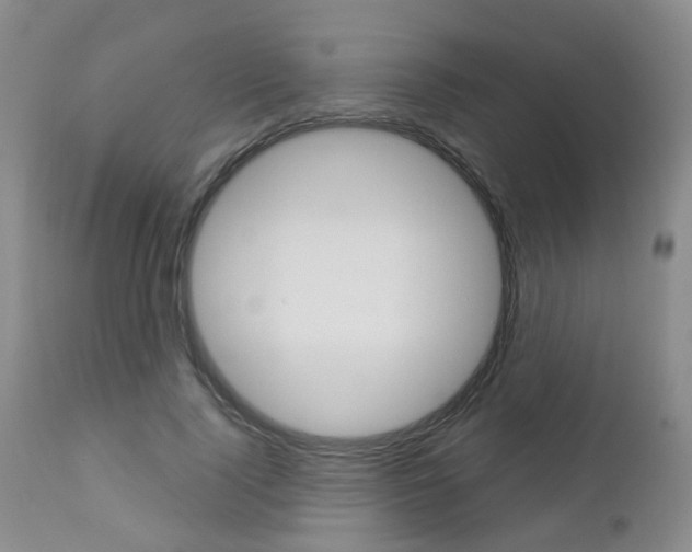 X0000112860740200908211054