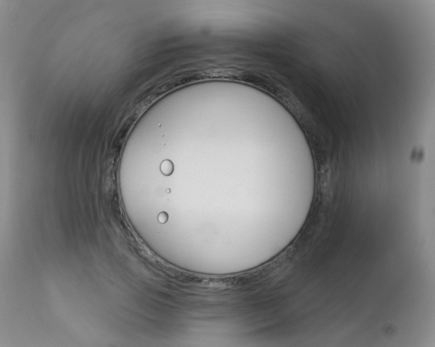 X0000112860741200908211054
