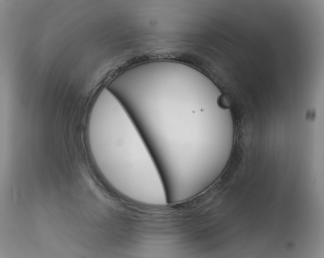 X0000112860742200908211054