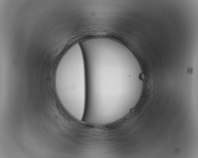 X0000112860743200908211054