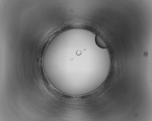 X0000112860744200908211054