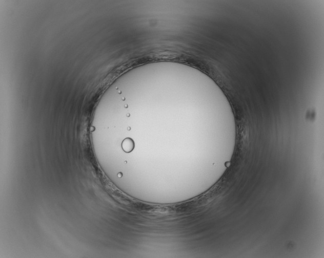X0000112860745200908211054