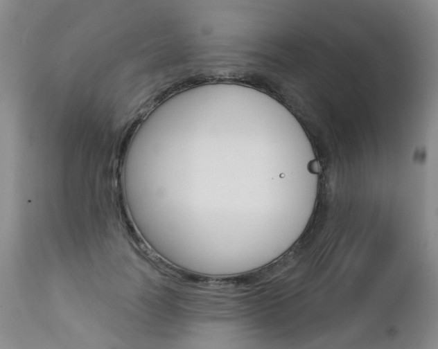 X0000112860746200908211054