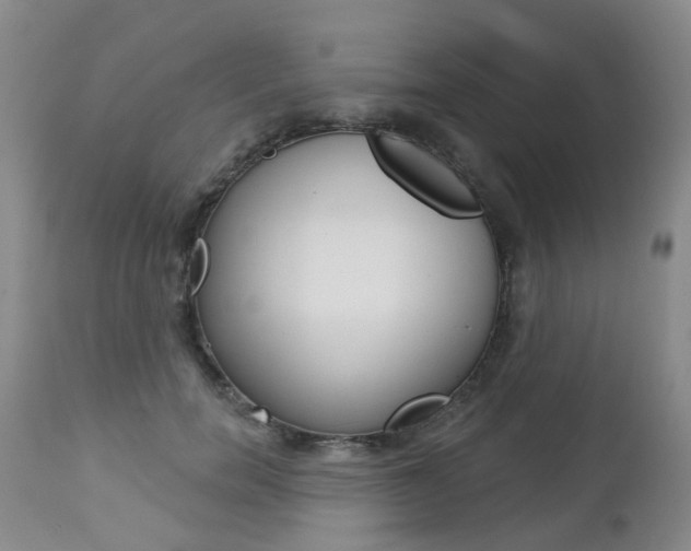X0000112860750200908211054