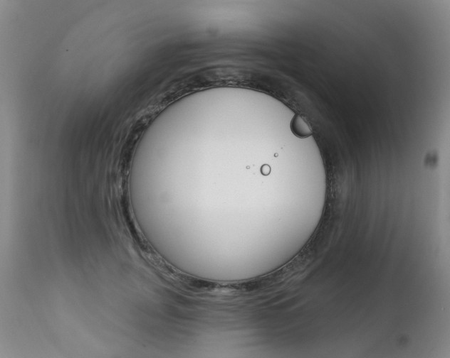 X0000112860751200908211054