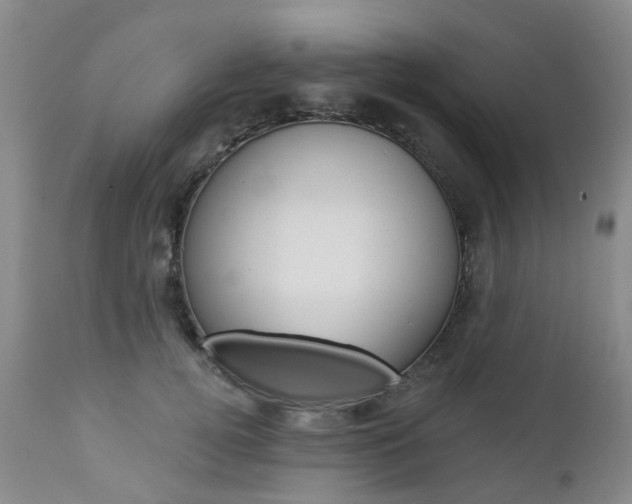 X0000112860752200908211054
