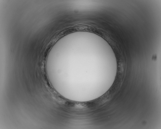 X0000112860753200908211055