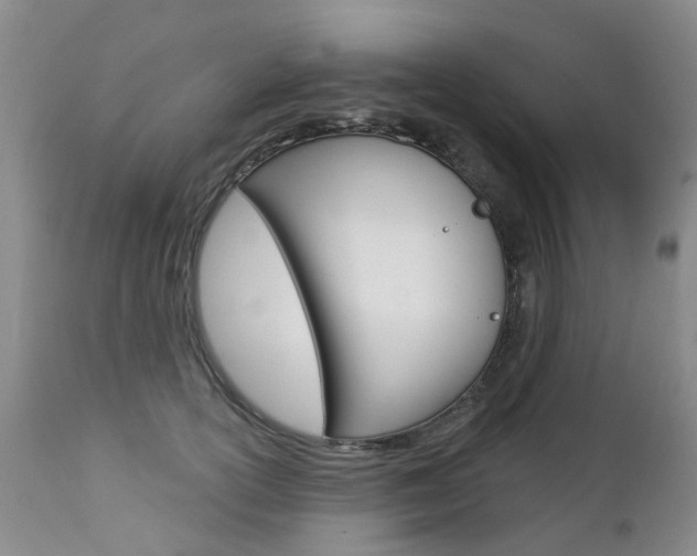 X0000112860754200908211055
