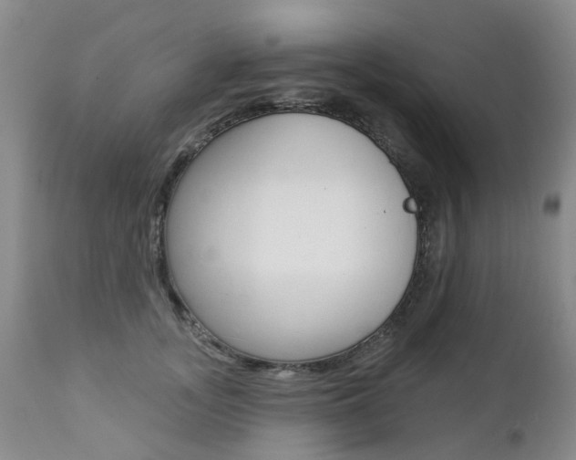 X0000112860755200908211055