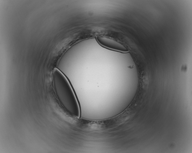 X0000112860756200908211055