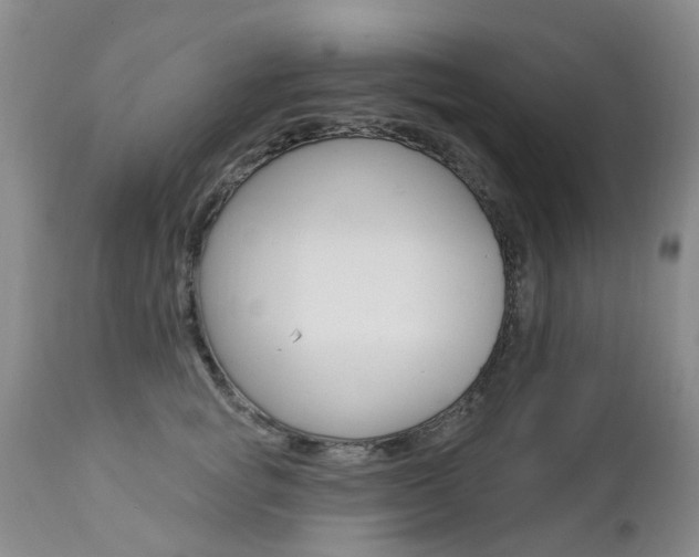 X0000112860757200908211055