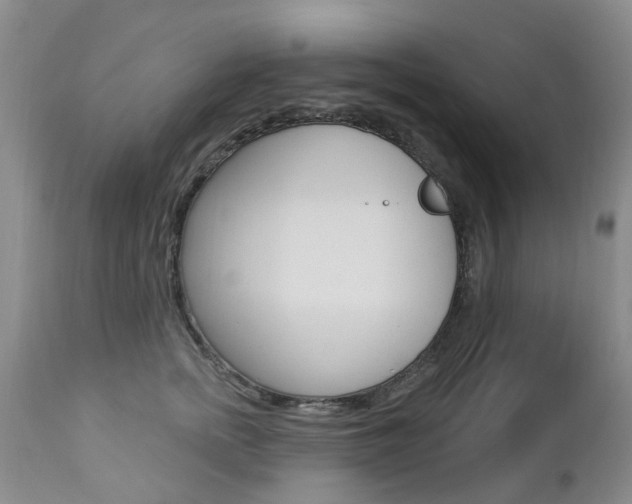 X0000112860758200908211055