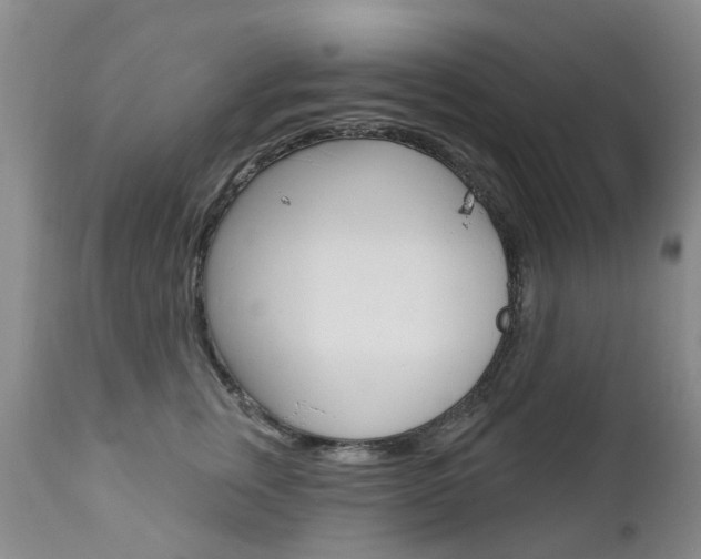 X0000112860759200908211055