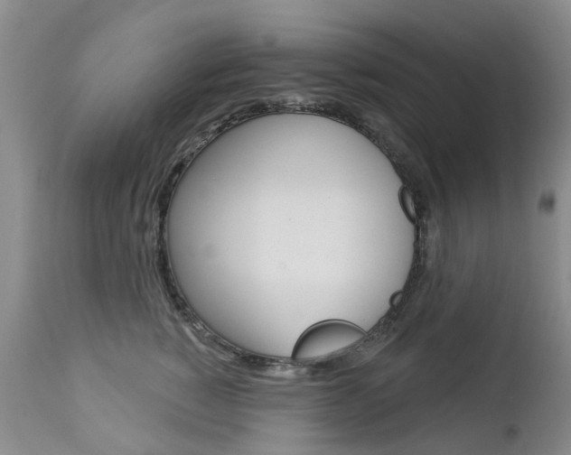 X0000112860760200908211055
