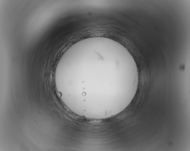 X0000112860761200908211055